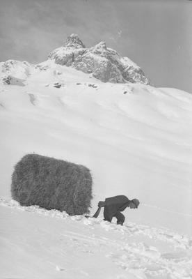 Heutransport mit Schlitten im Winter