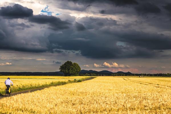 Gewitterwolken über einem Feld