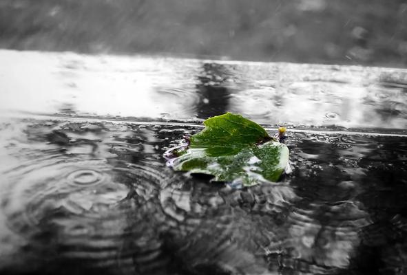 Regenlacke