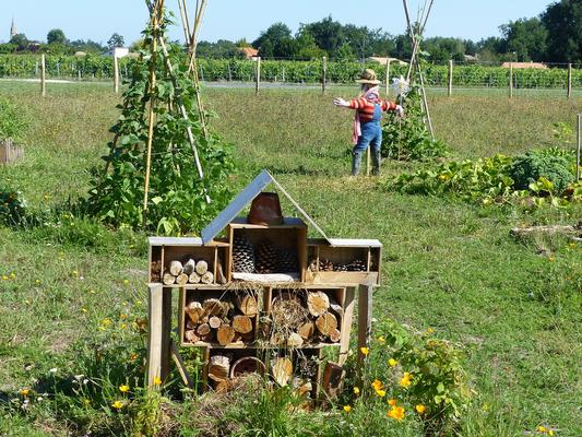 Garten mit Insektenhotel
