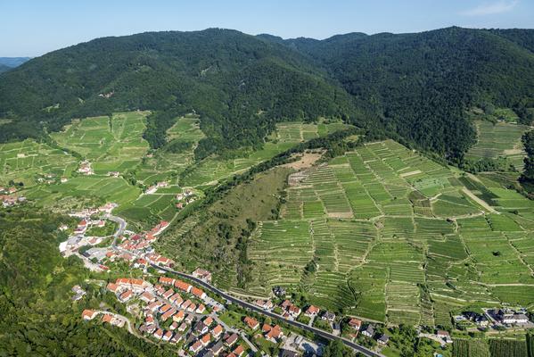 Setzberg, Wachau
