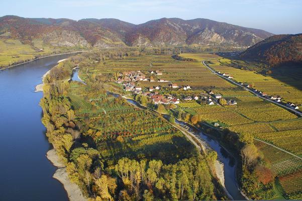 Ruhrsdorfer Au, Wachau