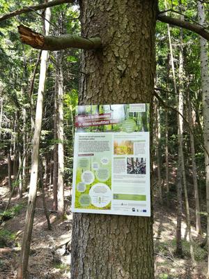 Infotafel zur ökologischen Waldbewirtschaftung 