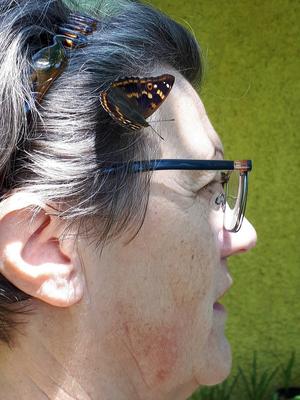 Schnappschuss der Schmetterlingsapp-Teilnehmerin Erika Kühnelt mit einem Schillerfalter auf ihrer Schläfe
