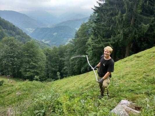 Mann mit Sense auf einer Bergwiese beim Mähen