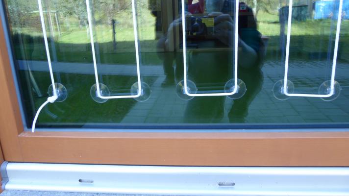 Sehr schnell und ohne den Fensterrahmen zu beschädigen können Schnüre mit Saugnäpfen befestigt werden.