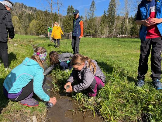 Kinder erforschen einen Bach auf einer Wiese und suchen dort mit Becherlupen nach Tieren