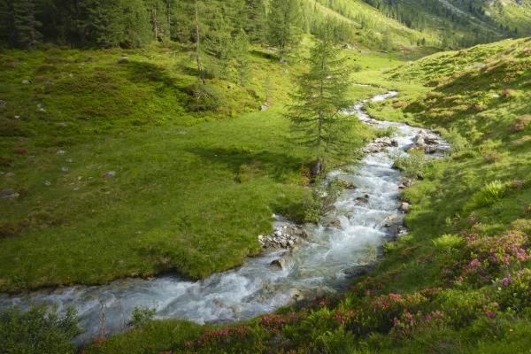Bodenalm Zillertal