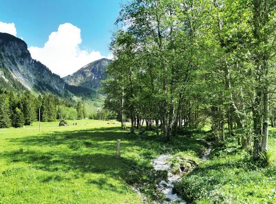 Schwemmalm Zillertal