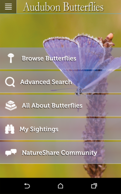 Audubon Butterflies App