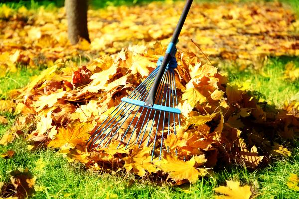 Laub rechen im Herbst