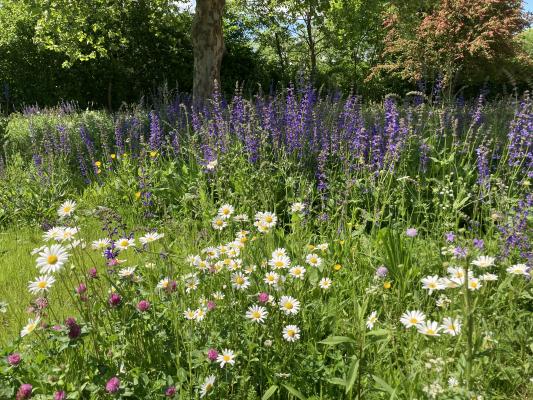 Naturnahe Begrünung