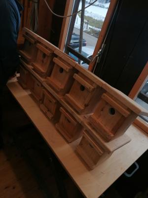Baumschläfer-Kästen