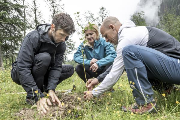 3 Menschen pflanzen Jungbaum
