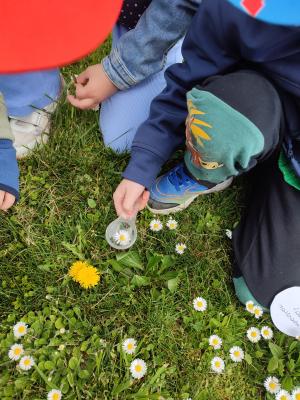 Kinder erforschen Natur