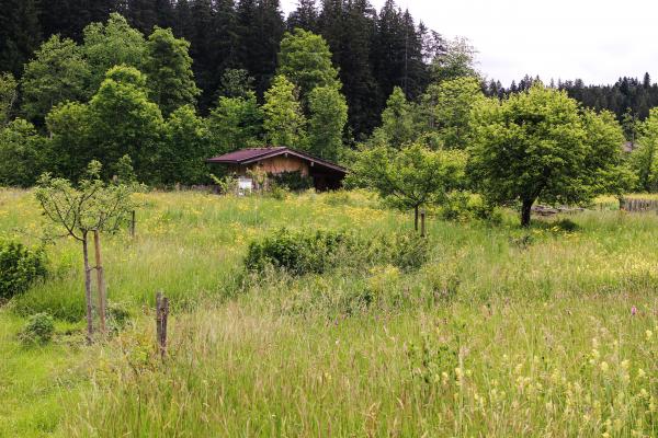 Naturschutzhof Going Artenreich