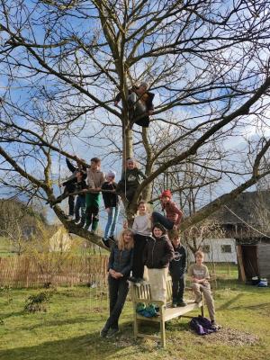 Kinder auf einem Baum