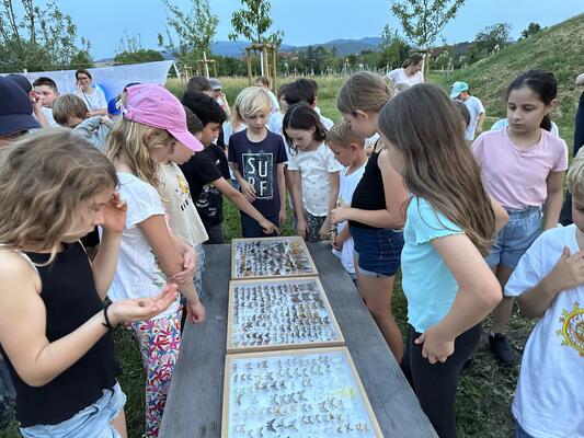 Kinder erforschen die Artenvielfalt