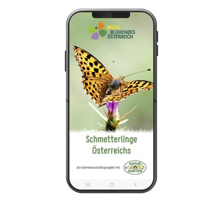 Schmetterlingsapp