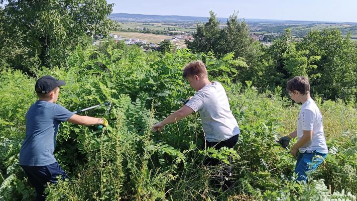 Trockenrasenpflege im Juli