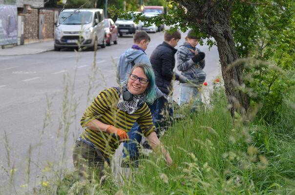Pfadfinder-Einsatz am Insektenhighway