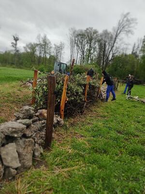 neue Strukturen für die tierische Vielfalt