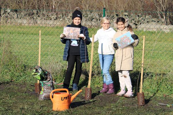 Heckenpflanzung im November 2025