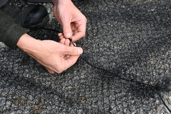 Finger bauen Amphibienleiter zusammen