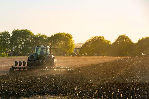 Traktor beim Pflügen im Sonnenaufgang