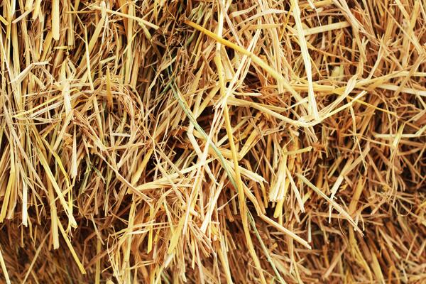 Stroh Textur Nahaufzeichnung