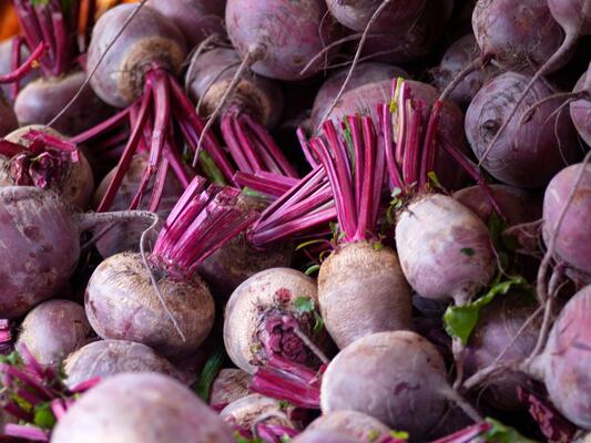 Viele Rote Beten
