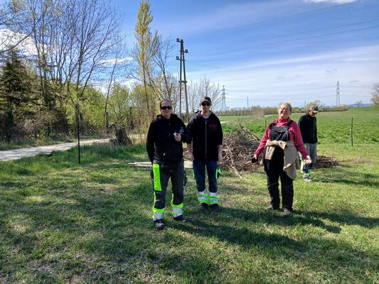 drei Männer und eine Frau schlichten Äste auf einer Wiese zu einer Benjes-Hecke