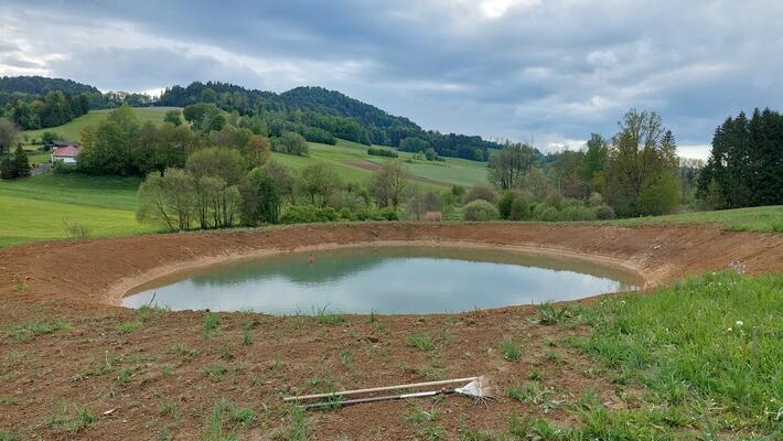 Der neue (Frosch-)Teich