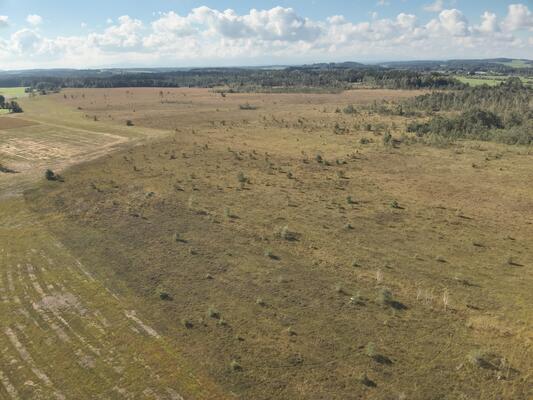 Moorlandschaft