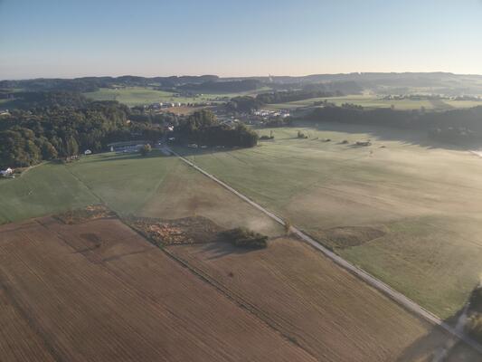 Moorlandschaft im Ibmer Moor mit blauem Himmel und Wald im Horizont