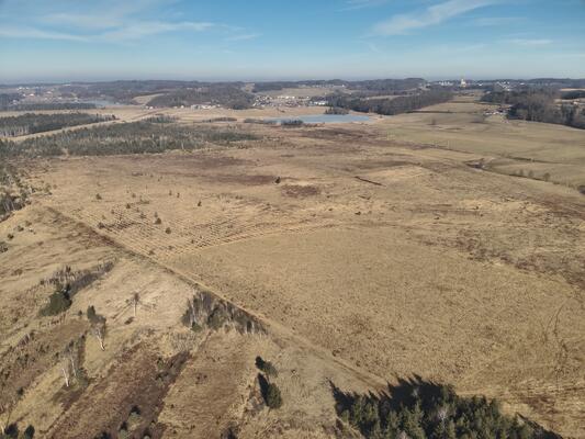 Moorlandschaft Ibmer Moor