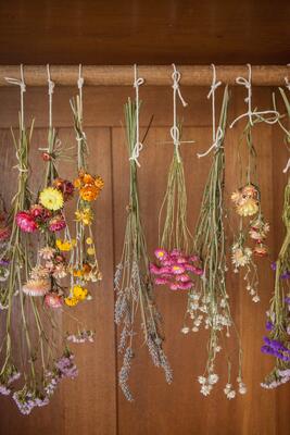 Bunte Sträuße aus getrockneten Blumen wie Strohblumen, Lavendel und anderen Kräutern