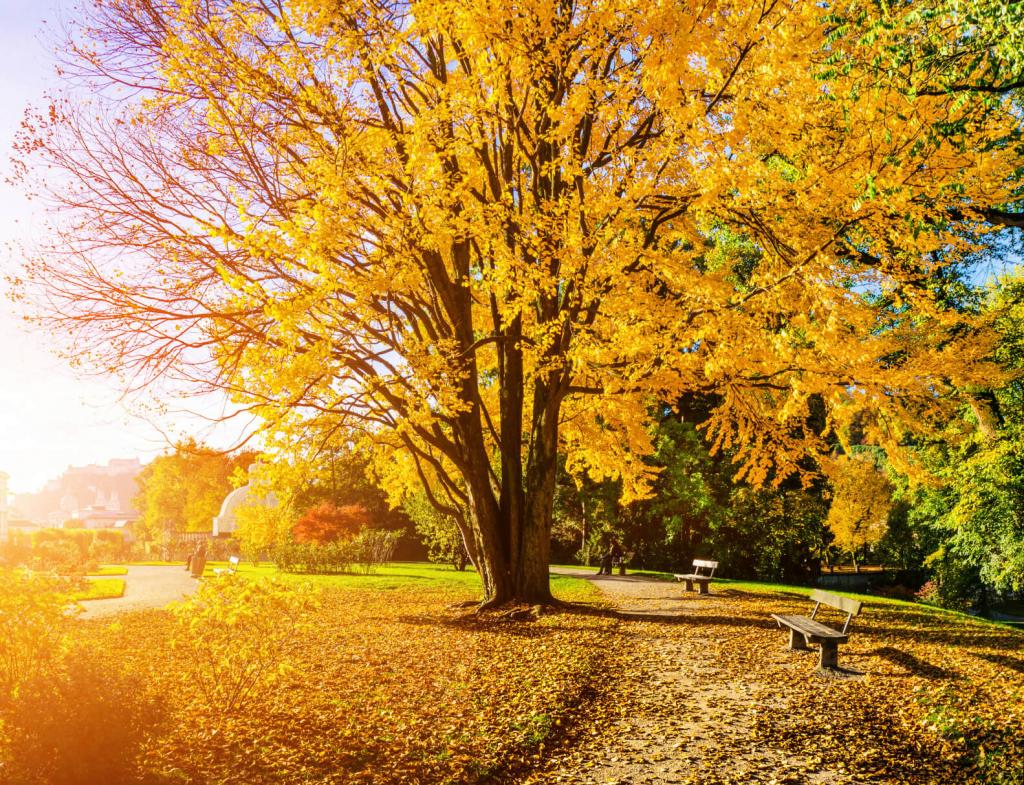 istockphoto.com © c istockphoto.com istockphoto.com