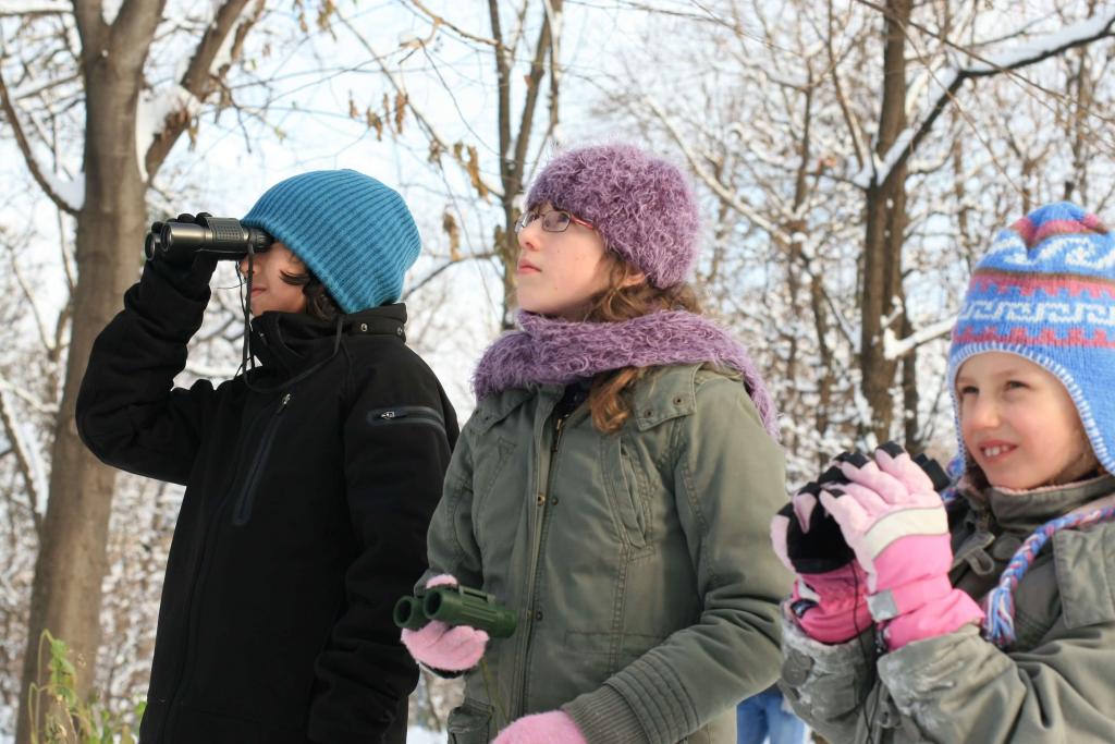 Stunde der Wintervögel c BirdLife Brigitte Baldrian © Stunde der Wintervögel c BirdLife Brigitte Baldrian Stunde der Wintervögel c BirdLife Brigitte Baldrian