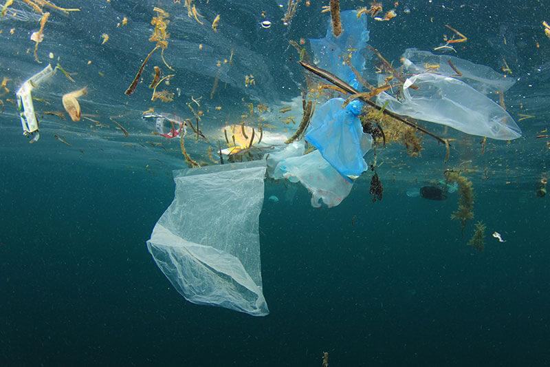 zehn-gute-vorsaetze-plastik-shutterstock_Rich-Carey © (c) shutterstock / Rich Carey zehn gute Vorsetzte Umweltschutz