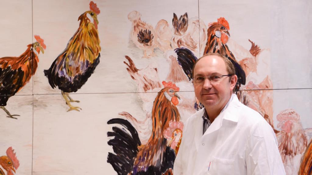 pp-huhn fakten3 c maria schoiswohl © c Maria Schoiswohl