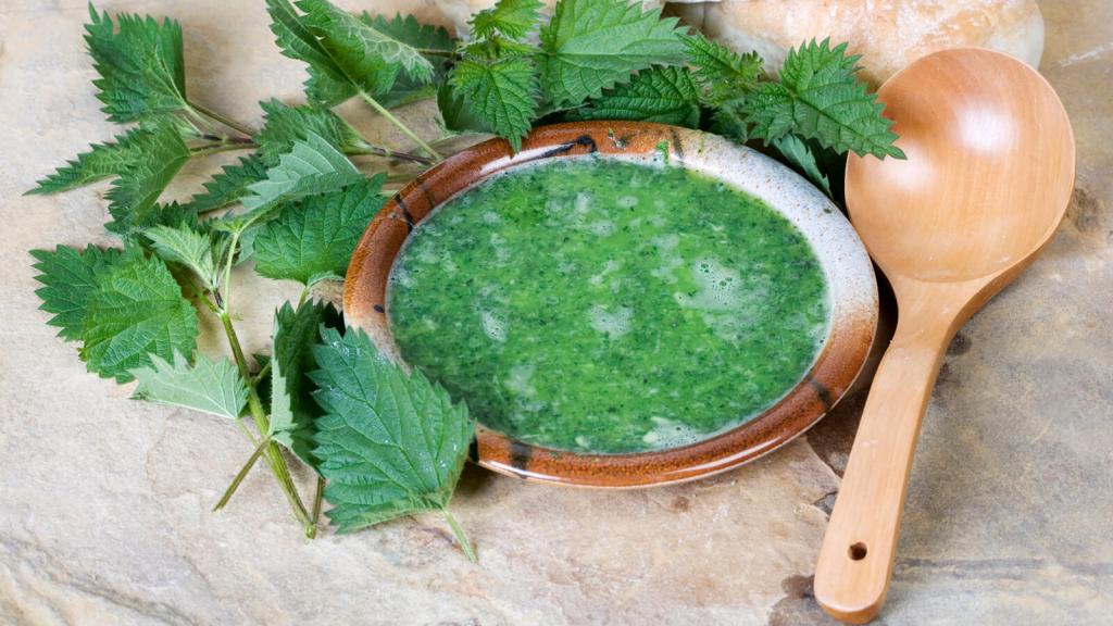 Brennnessel-Suppe © foodandwinephotography / Istock.com Brennnessel-Suppe