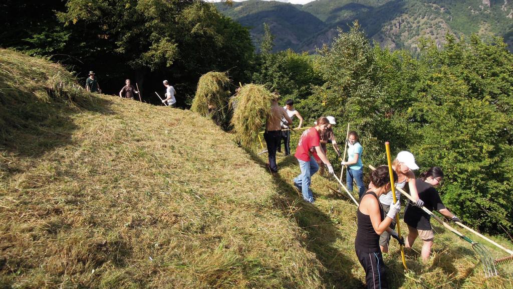 Eine Gruppe des Alpenvereins beim Abheuen auf einem Steilhang © Österreichischer Alpenverein Eine Gruppe des Alpenvereins beim Abheuen auf einem Steilhang (c) Österreichischer Alpenverein