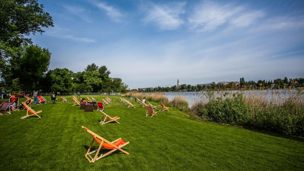 ArbeiterInnenstrand © MA 45-Wiener Gewässer/Christian Fürthner Wiese zum Ausruhen neben der Donau