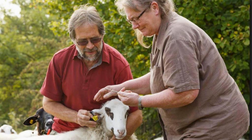 Familie Zillner © Blühendes Österreich / Günther Linshalm Familie Zillner am Hundsheimer Berg