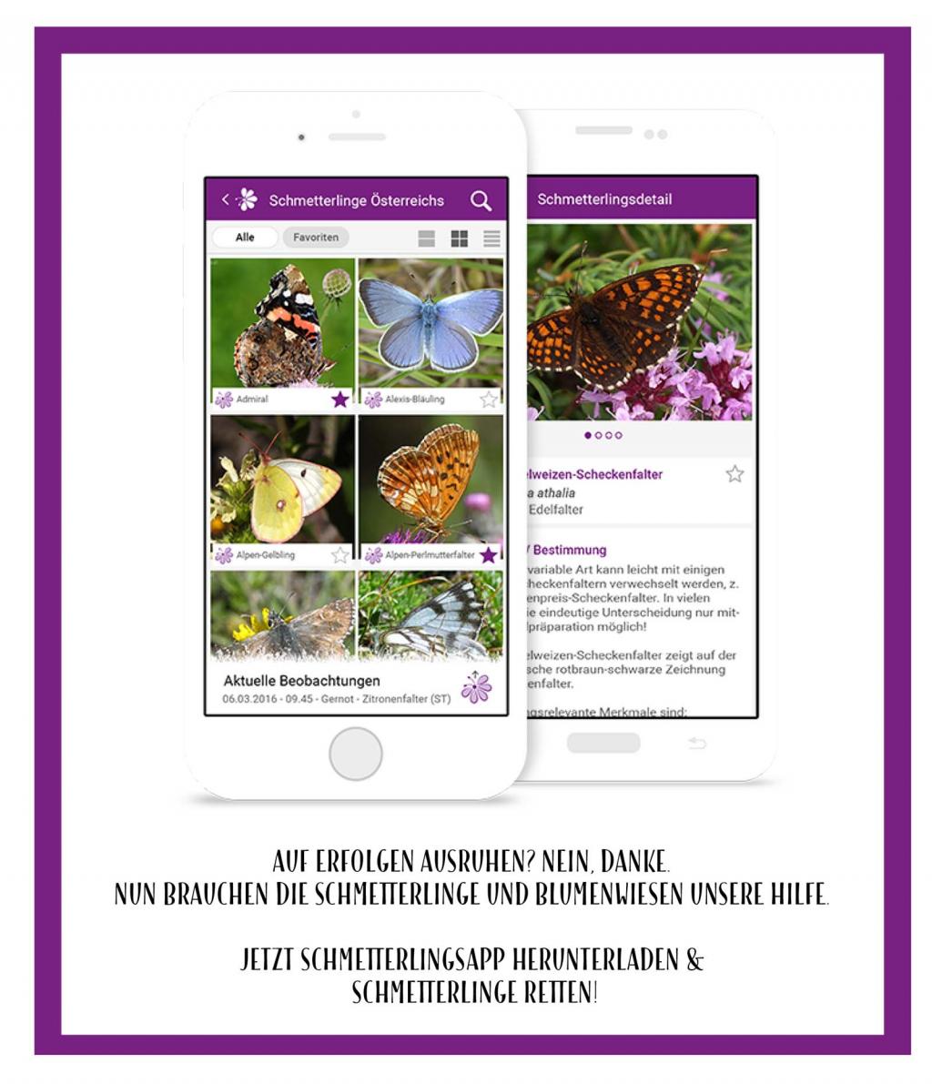 schmetterling app © Blühendes Österreich Grafik