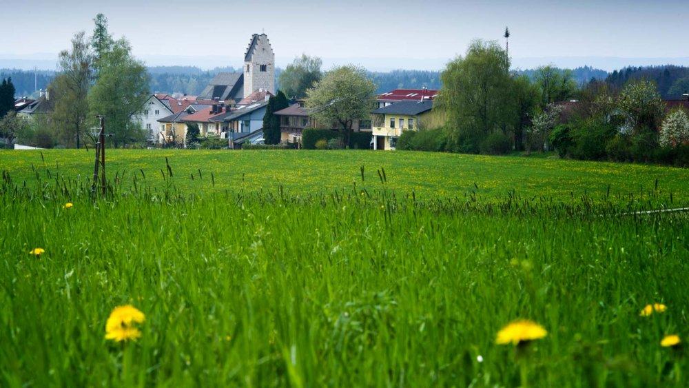 Naturschutz in Lamprechtshausen © Blühendes Österreich / Alex Papis Naturschutz in Lamprechtshausen
