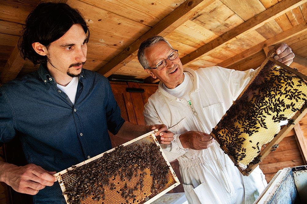 Bienenschutz bei ADEG © (c) Stefan Knittel Bienenschutz bei ADEG