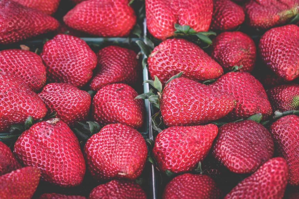 Erdbeeren, geerntet in Schachteln