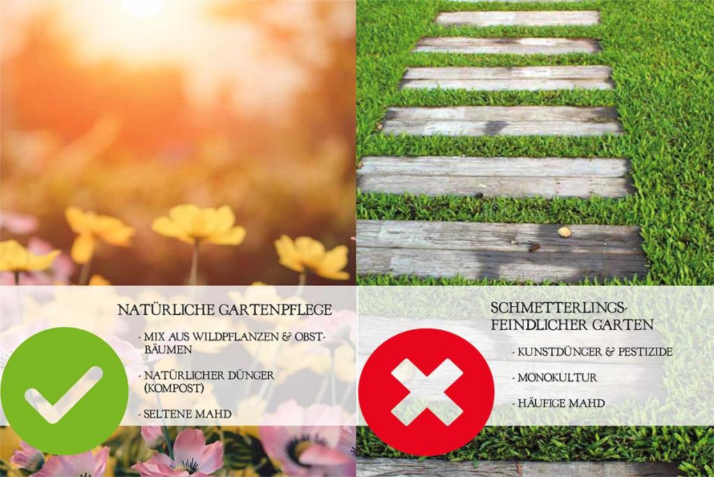 schmetterlingsgarten vs lebensfeindlicher garten